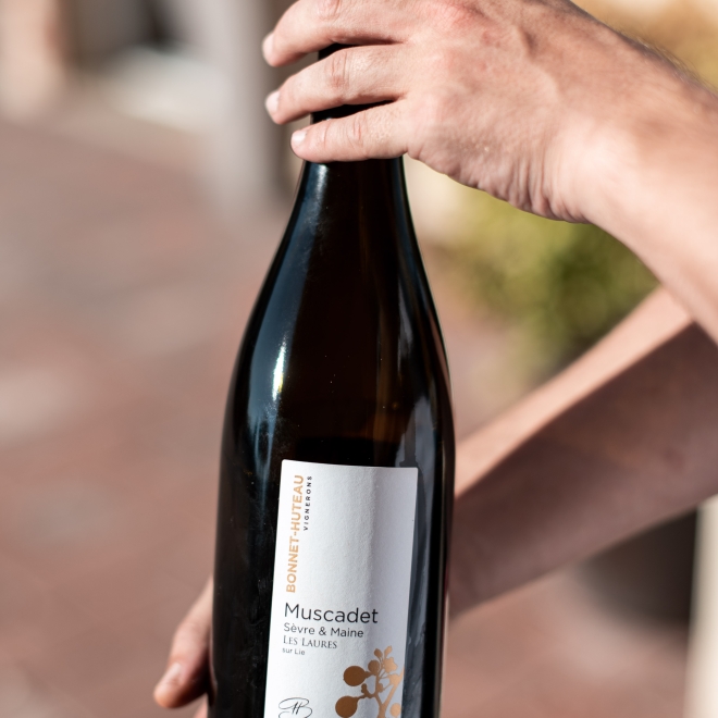 muscadet vin local Nantes cave caviste bio